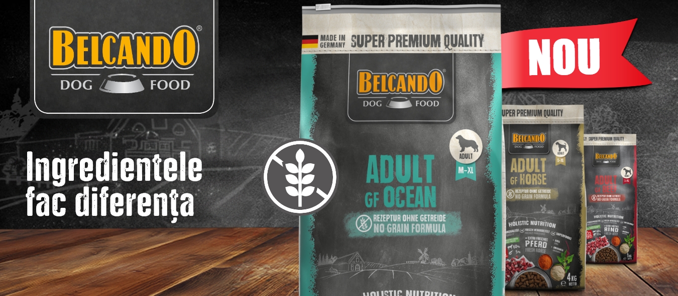 Описание изображения